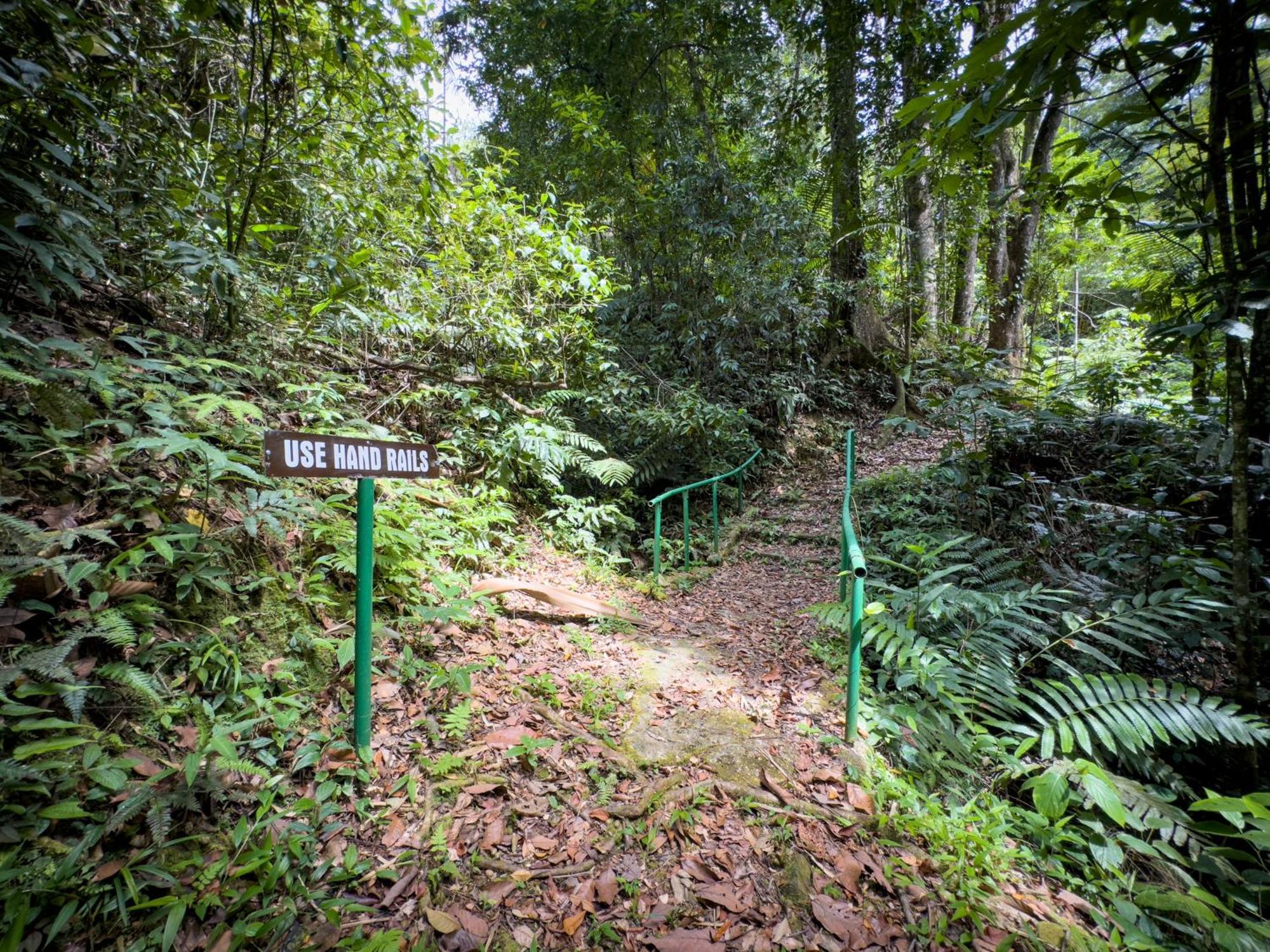 Hadco Experiences At Asa Wright Nature Centre Blanchisseuse Экстерьер фото